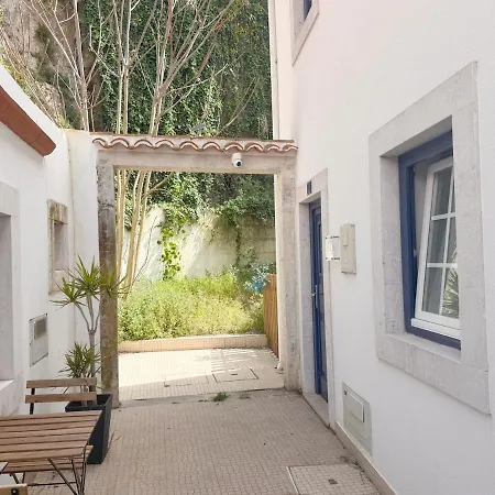 Curious Crow 1 With Patio By Homeful Homes