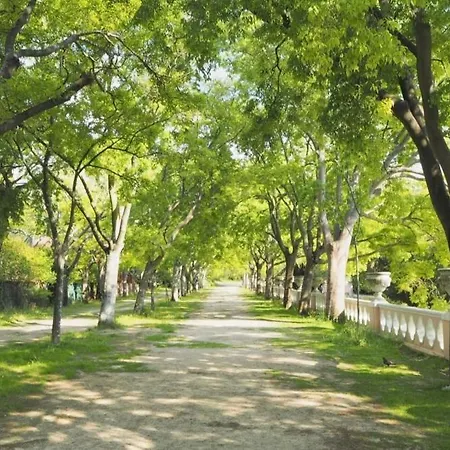 아파트 Curious Crow 1 With Patio By Homeful Homes *