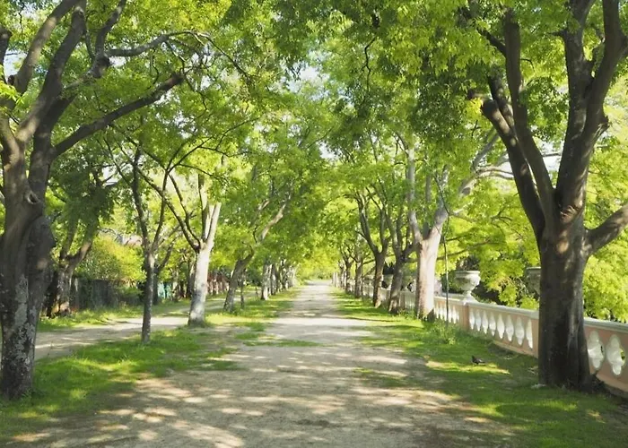 Διαμέρισμα Curious Crow 1 With Patio By Homeful Homes *